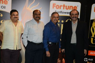 Celebs at IIFA Utsavam 2016